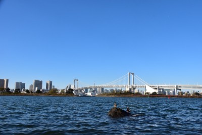 东京市景白天