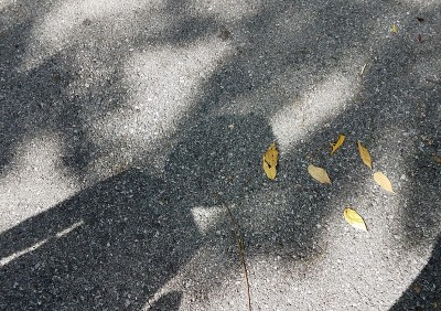 孩子的影子在黑色沥青或路面上
