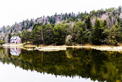 'Oles Bassa d。Pyrinees。'Aran Vall d。加泰罗尼亚。西班牙。