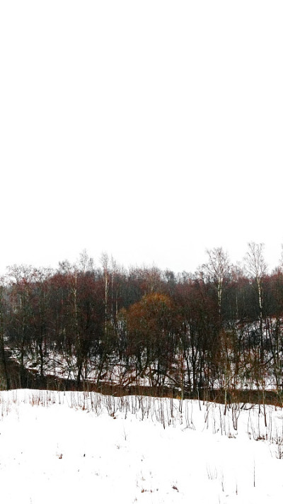 河流，森林，冬天不结冰的雪