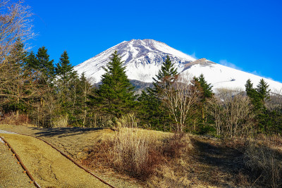 在水津冢公园，我欣赏着富士山在冬季渐近的景色。