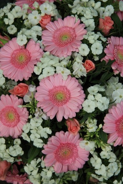 粉色婚花