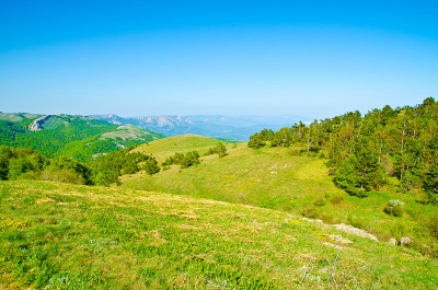 山景观