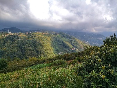 特拉布宗的村庄