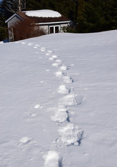 雪鞋跟踪