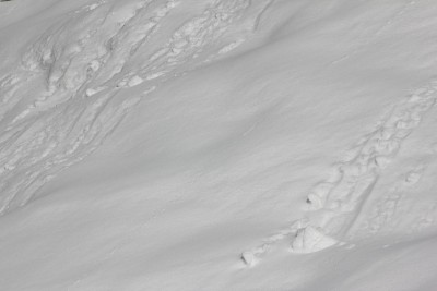 雪崩，白雪，冬天的风景