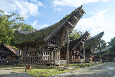 Tongkonan房屋，传统的Torajan建筑和房屋