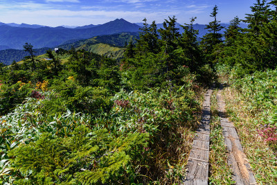 上狭武山和横竹山的山路