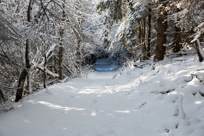 路上有雪