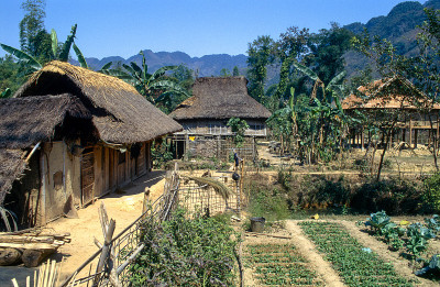 桩的住处