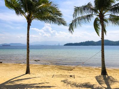 热带海滩吊床和棕榈树