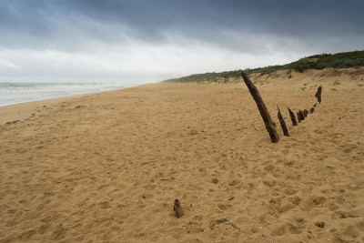 Trinculo shipwreck
