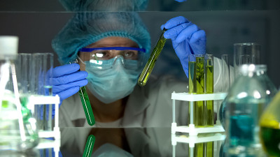 科学家比较植物样品在不同液体中，防腐剂的研究