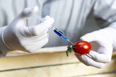 蔬菜、肥料和转基因生物的化学加工。