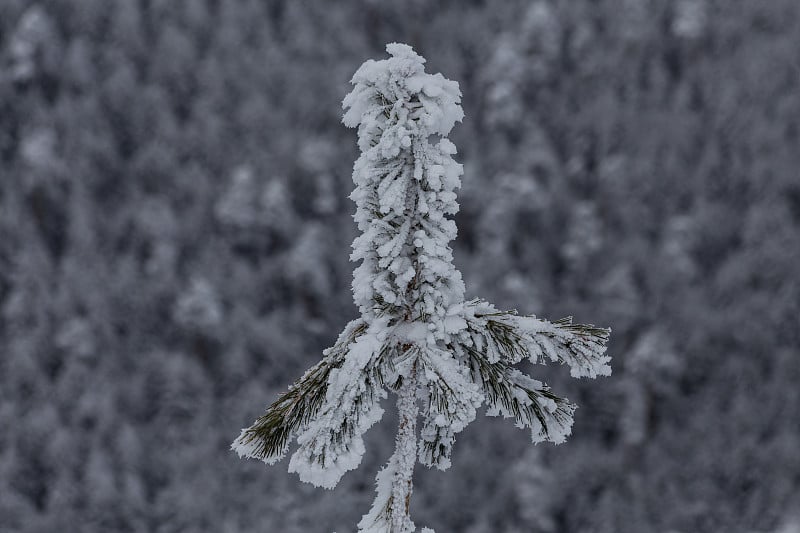 雪山景观马德里