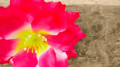 特写红色折纸或人造棉花背景