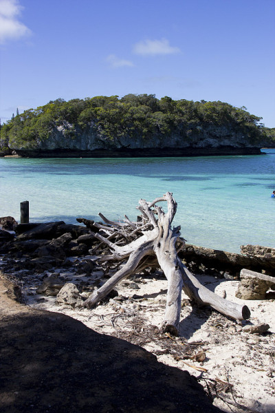 特写，岛屿，南太平洋，海滩