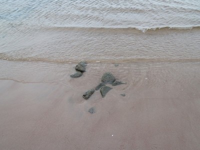 浪花中的小浪