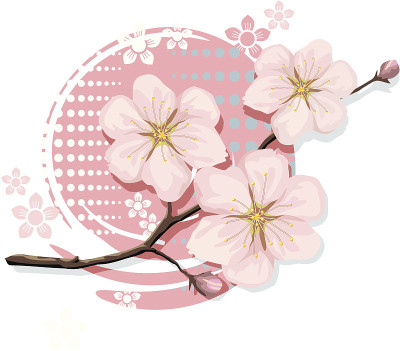 樱桃开花