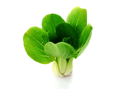 小白菜(白菜)孤立在白色上