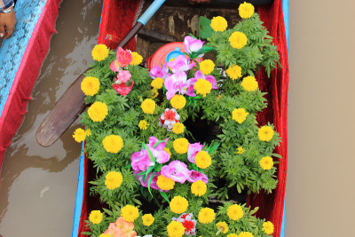 船上的花