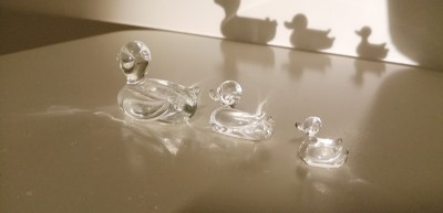 玻璃鸭子家庭