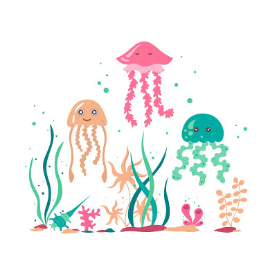 水母用海藻