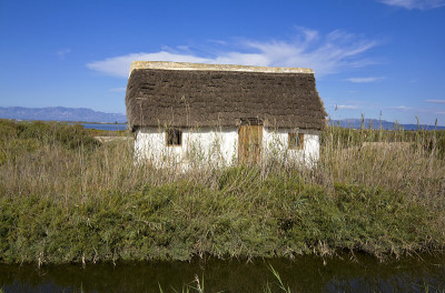 典型的稻田小屋