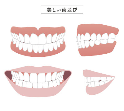 美丽的齿套插图