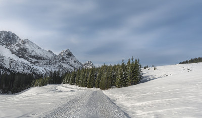 穿越奥地利阿尔卑斯山的雪山公路。冬天的场景