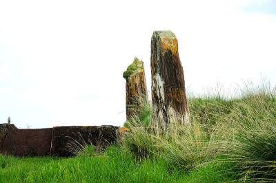 高大的石像矗立在一座古代建筑的废墟上。
