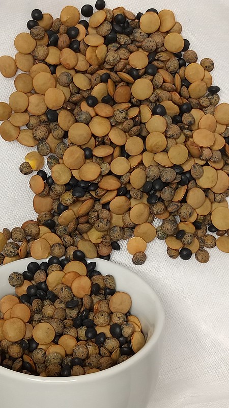 近距离拍摄的小扁豆食物背景。