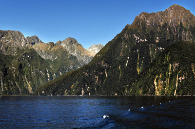 新西兰峡湾