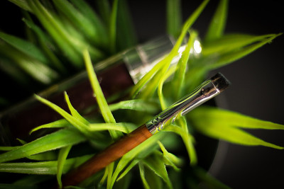 茂盛的绿草