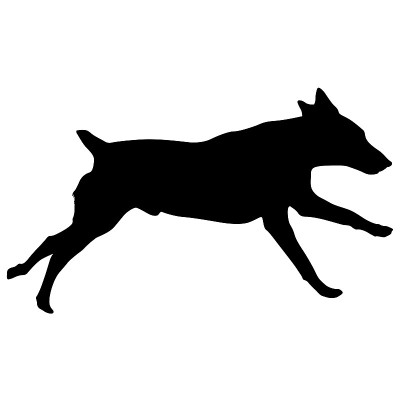 杜宾猎犬在白色背景上的剪影