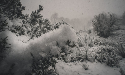 汉姆斯特德西斯的暴风雪