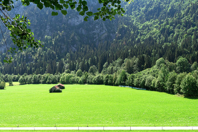 整洁的高山草甸和外屋，以山脉为背景。