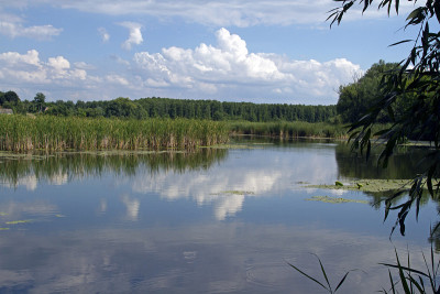 夏天湖