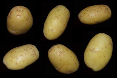 Potatos