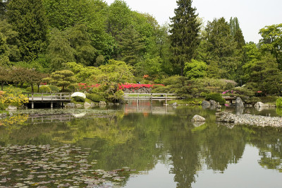 日式花园12