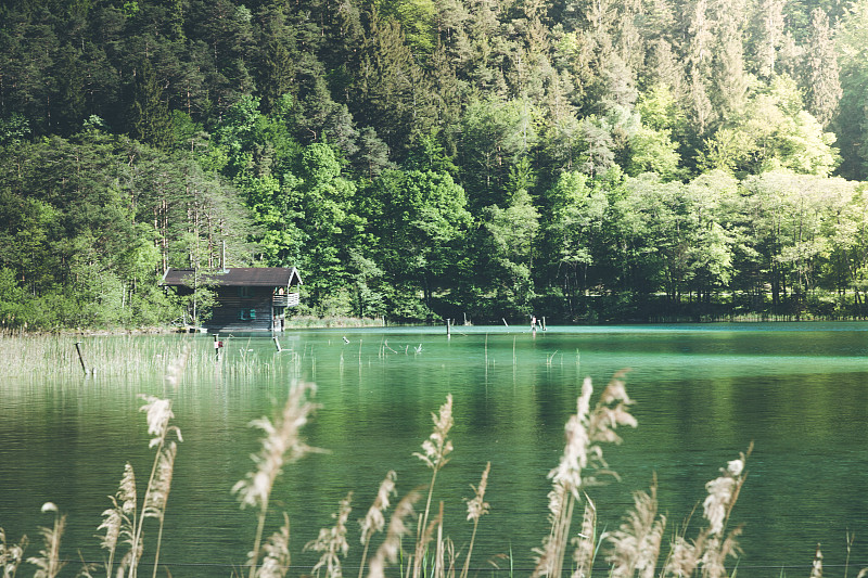 湖边的旧船屋，芦苇林