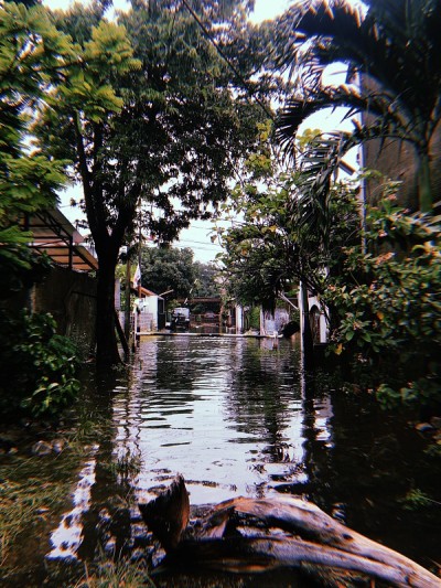 洪水