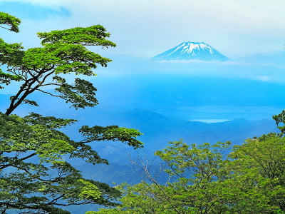 从坦桑尼亚西部看富士山