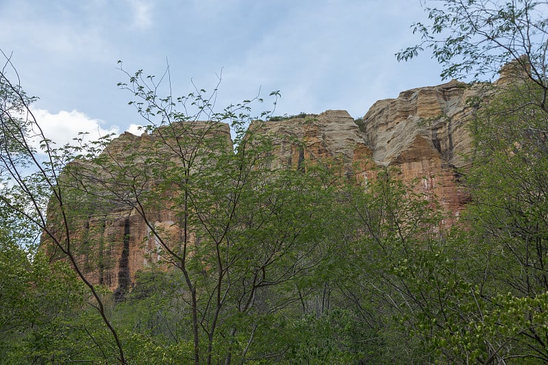 卡皮维拉Serra da Capivara的多叶Catinga