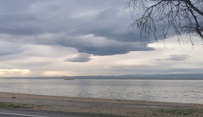 根据河