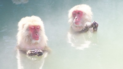 我喜欢泡温泉