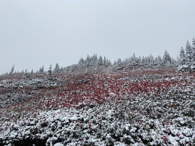 秋天夹杂着新雪