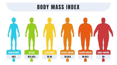 人身体质量指数。正常体重和肥胖男性的身体质量指数信息图。胖和瘦的轮廓。医学诊断图。向量体重不足或肥胖