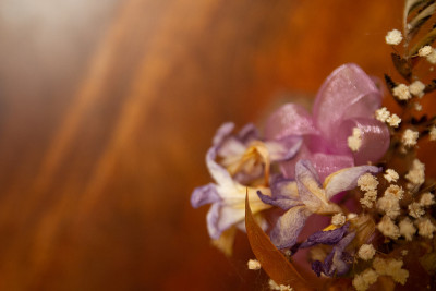 干花软焦点