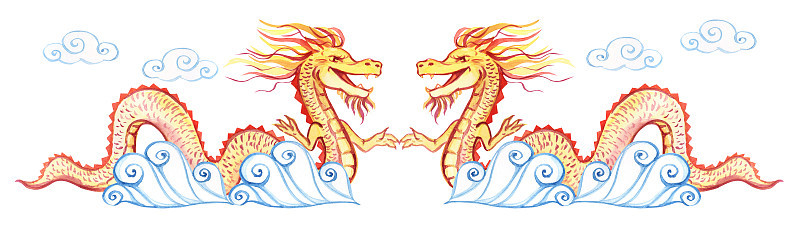 中国龙。水彩画的金龙。中国新年。假期。白色背景上的龙。